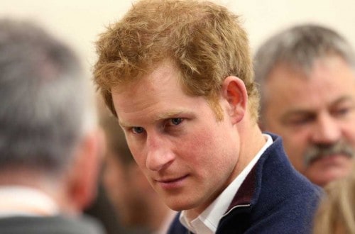 ‘Ginger Extremist’ Found Guilty Of Planning To Kill Prince Charles So Harry Would Be King