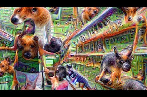 Google’s Deep Dream Turns Grocery Store Into Trippy Dream