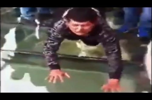 Guy Mortified Of Heights Loses It On 4,700ft High Glass Bridge