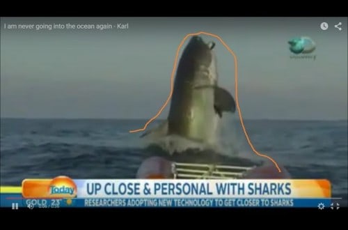 ‘Host’s Reaction To Shark Footage Goes Viral