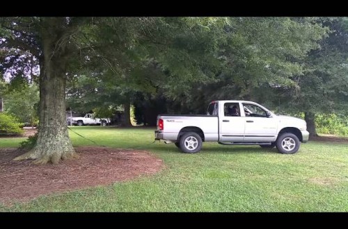 Man Tries To Pull Down Massive Tree With Truck, You’ll Never Guess What Happens Next