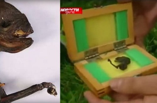 Mysterious Alien Corpse Found In Russia