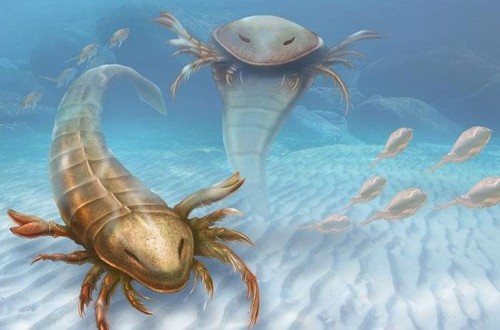 New Fossils Of Giant Prehistoric Sea Scorpion Unearthed