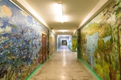 Russian Janitor Paints Amazing Murals On School Corridors
