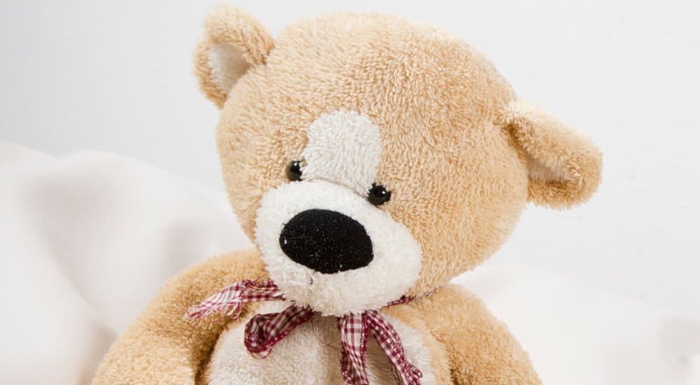 Study Finds 80% Of Teddy Bears Are Riddled With Harmful Bacteria