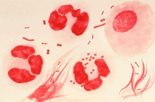 ‘Super Gonorrhea’ Is Spreading Through The United Kingdom