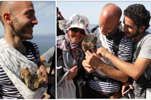 Syrian Refugee Carried His Kitten To Greece While Fleeing