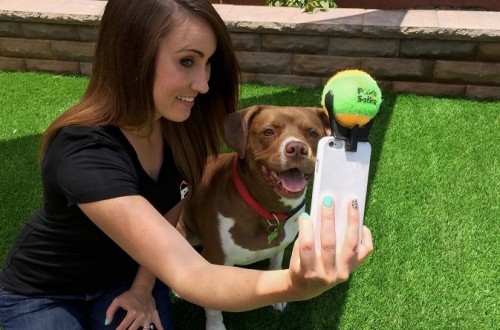 Company Launches Kickstarter Campaign For Dog Selfie Stick