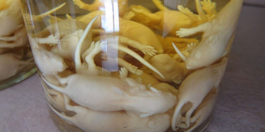 10 Bizarre Alcohol Beverages From Around The World