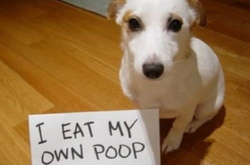 10 Embarrassing Cases Of Public Shaming