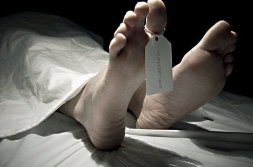 10 Facts About Death That Make Us Love Being Alive
