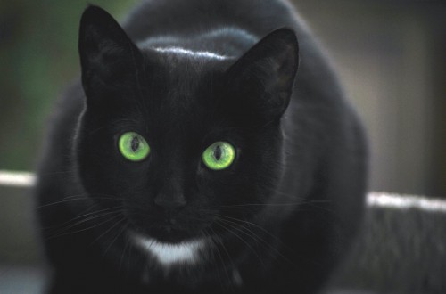 10 Of The Strangest Superstitions From Around The World