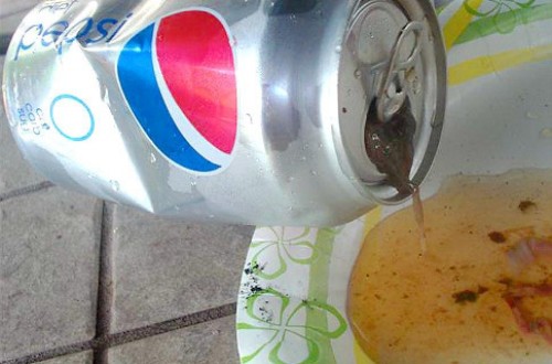 10 Ridiculous Things People Found In Their Food