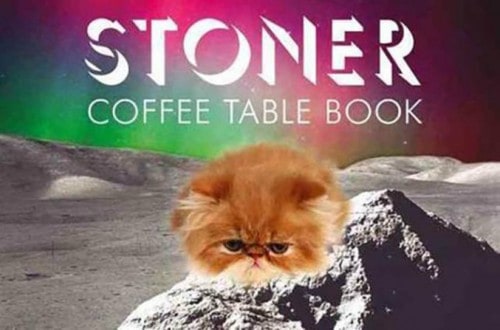 10 Hilarious And Weird Coffee Table Books You Should Own