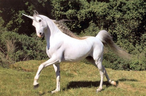 10 Unicorns From Around The World You Might Not Know Of