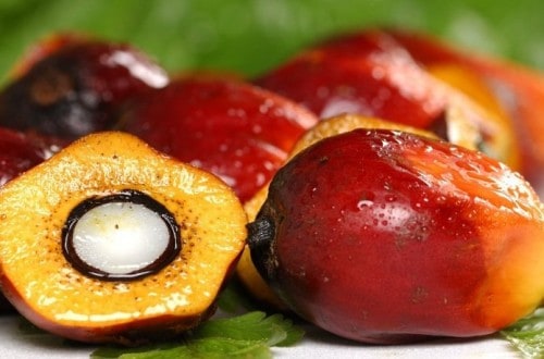 10 Exciting Benefits Of Red Palm Oil