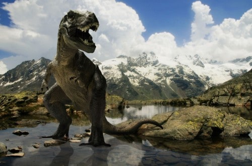 10 Myths About Dinosaurs That Aren’t Actually True