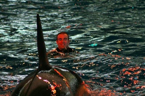 10 Of The Worst Accidents To Ever Occur At SeaWorld