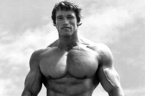 10 Tips To Quickly Gain Schwarzenegger-Like Muscles