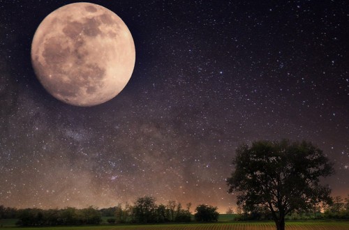 10 Facts You Never Knew About The Moon