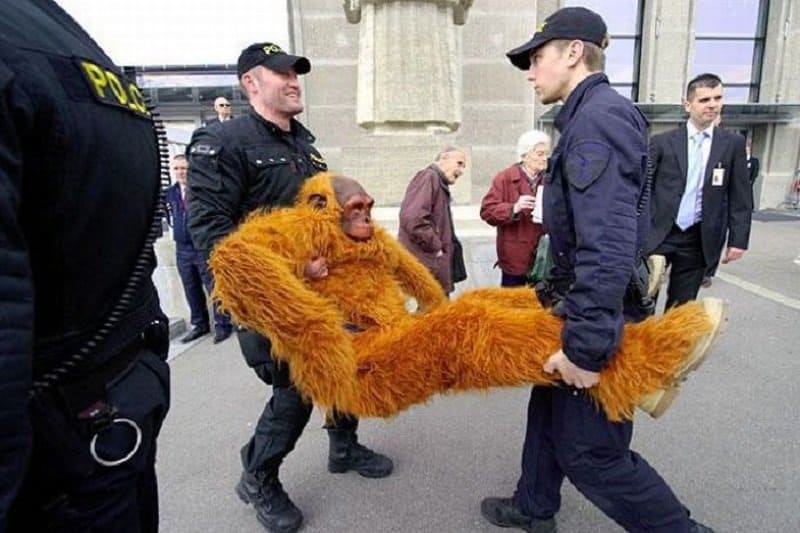10 Hilarious Pictures Of People Getting Arrested