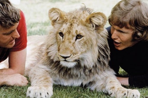 10 Most Amazing Human And Animal Friendships