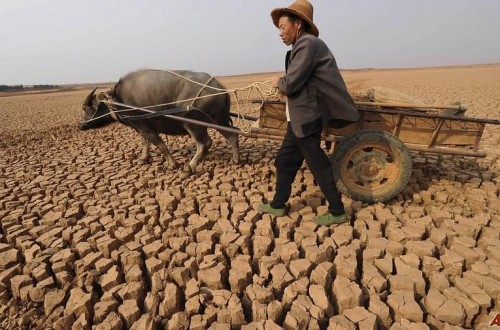 10 Of The Most Horrible Droughts Ever Recorded