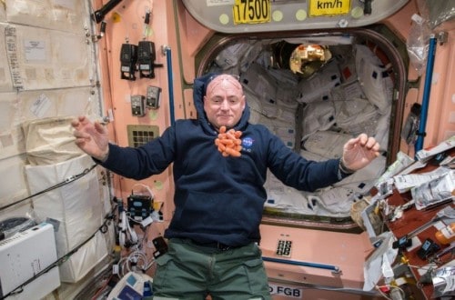 10 Shocking Things You Didn’t Know About The Man Who Spent A Year In Space