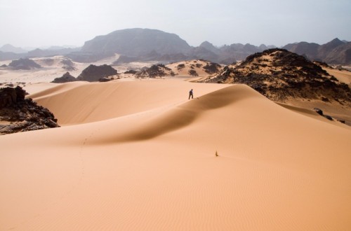 10 Bizarre Facts About The Desert