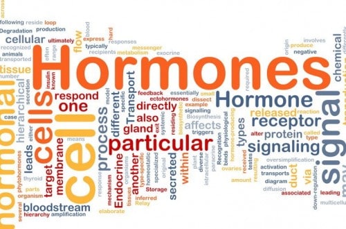 10 Crazy Facts About Hormones And How They Affect Our Lives