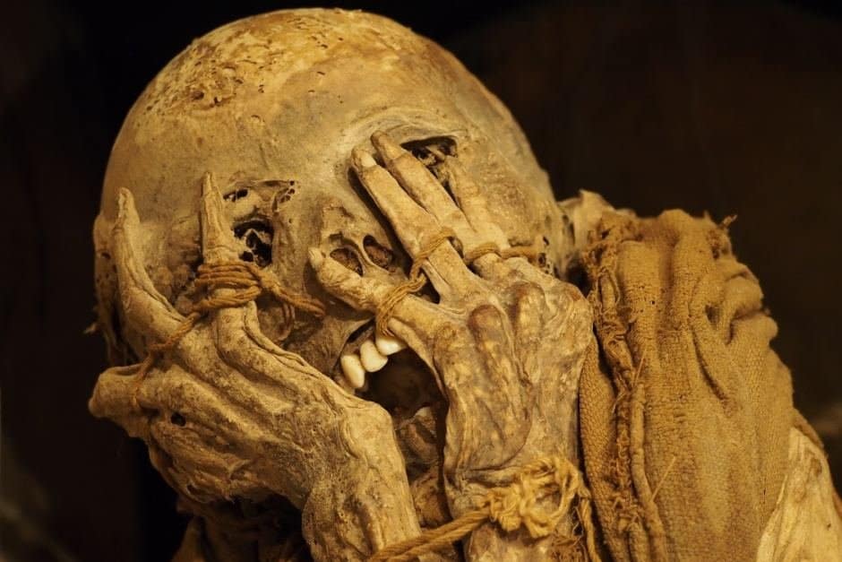 10 Facts About Mummies That Will Surprise You