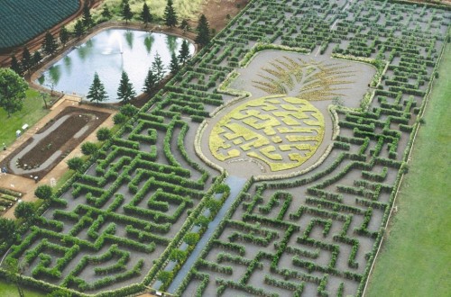 10 Of The World’s Most Incredible Mazes