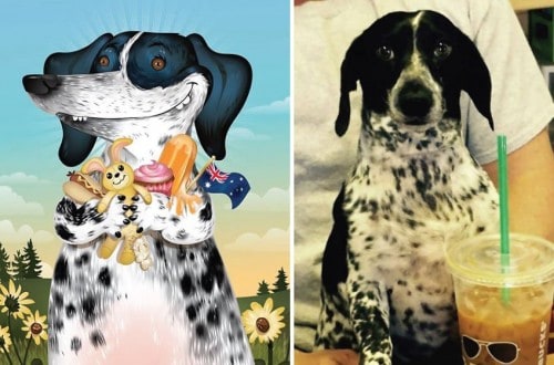 10 Pet Portraits Inspired By How Their Owners Describe Them