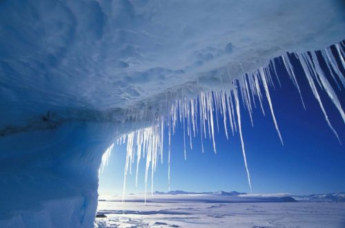 10 Incredible Facts About Antarctica That Are So Cool They’re Freezing