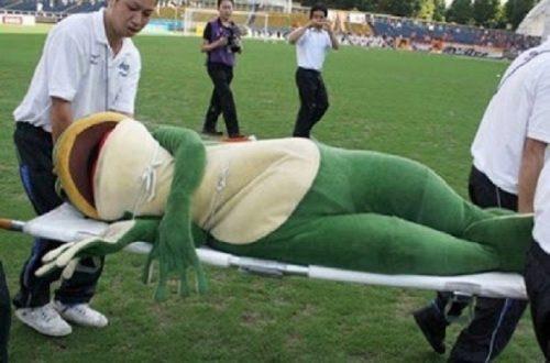 10 Of The Funniest Mascot Fails Of All Time