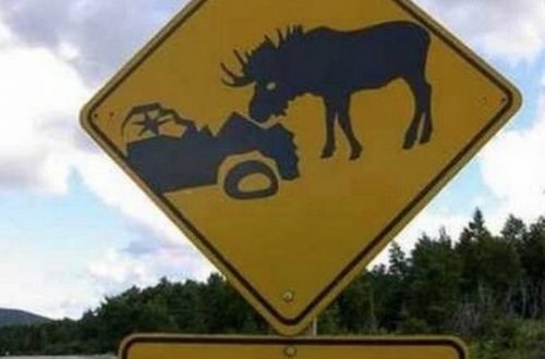 10 Hilariously Stupid Road Signs That Actually Exist