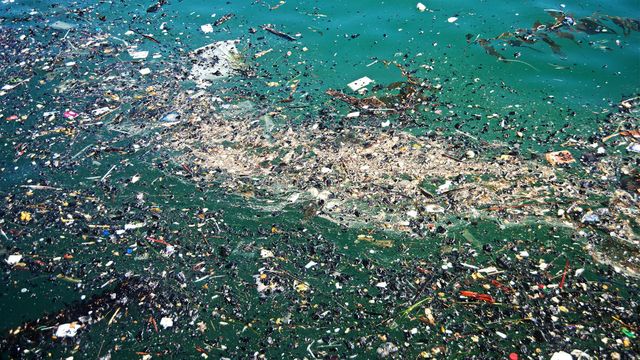 Great Pacific Garbage Patch now Twice the Size of Texas