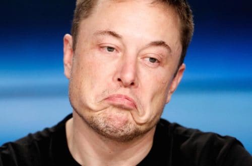 Tesla Share Prices Fall After Elon Musk Calls British Diver A Pedophile