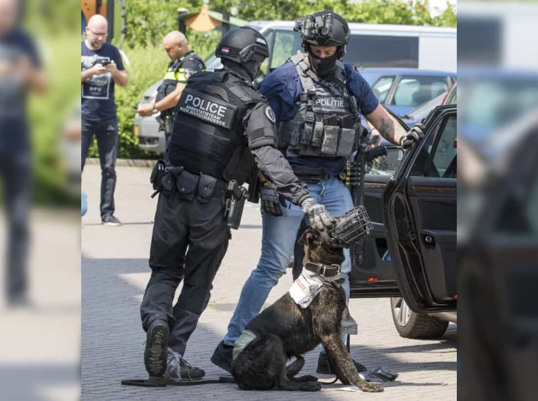Man Shot After Killing Police Dog With An Axe