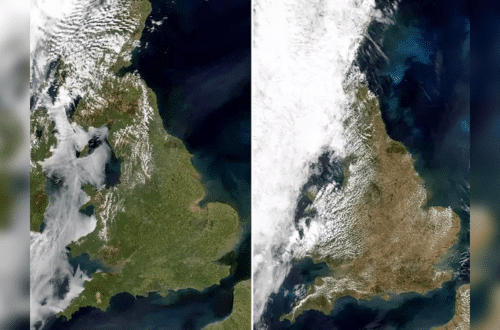 Satellite Photos Reveal Just How Bad Britain’s Heatwave Has Been